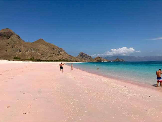 2504-1-03_Pink beach | Glam(グラム)