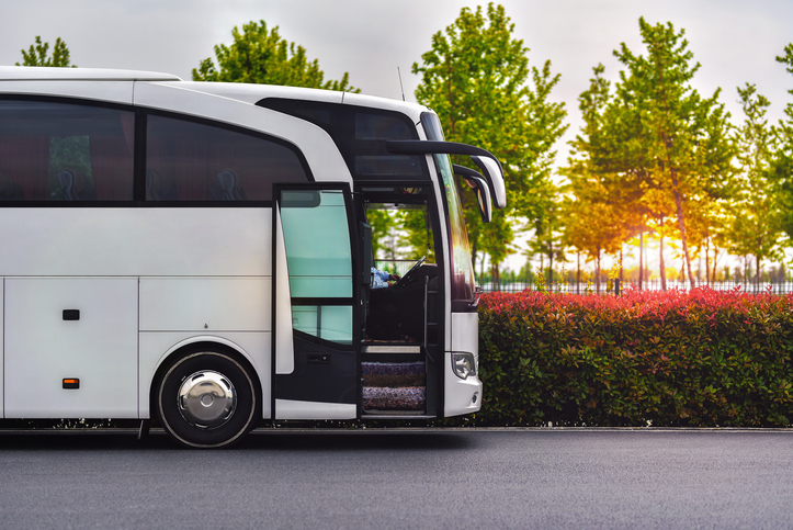 travel company bus | Glam(グラム)