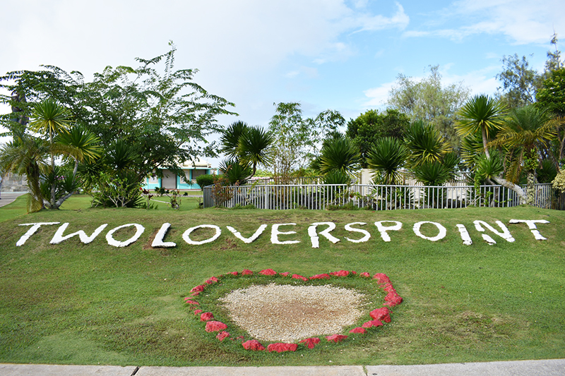 TWO LOVERS POINTの芝生