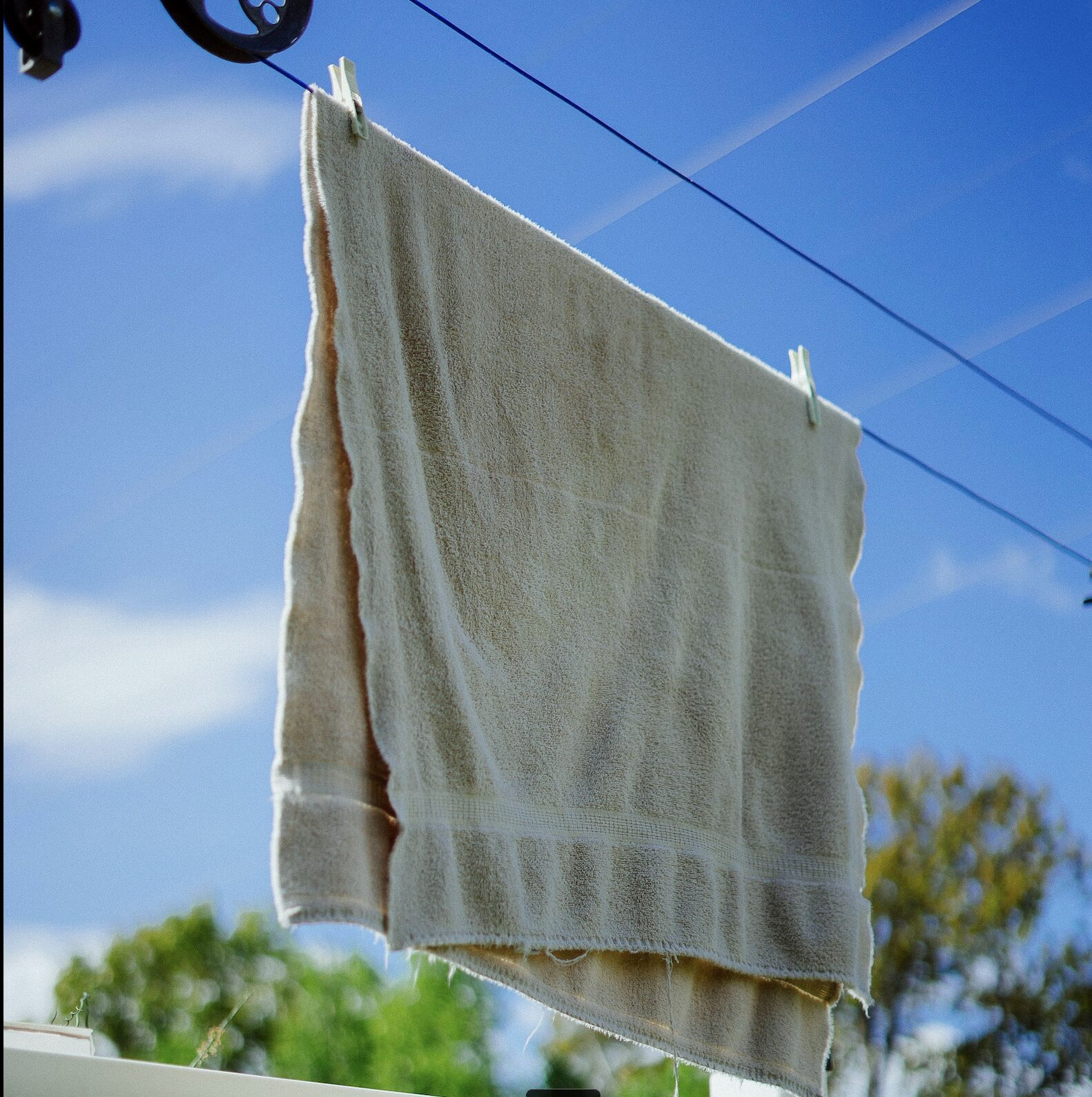 スクリーンショット 2026-02-20 02147 | GLAM(グラム)|自分らしく生きる女性に、1日1GLAMを。 タオルの嫌なニオイ、実は「菌」が原因