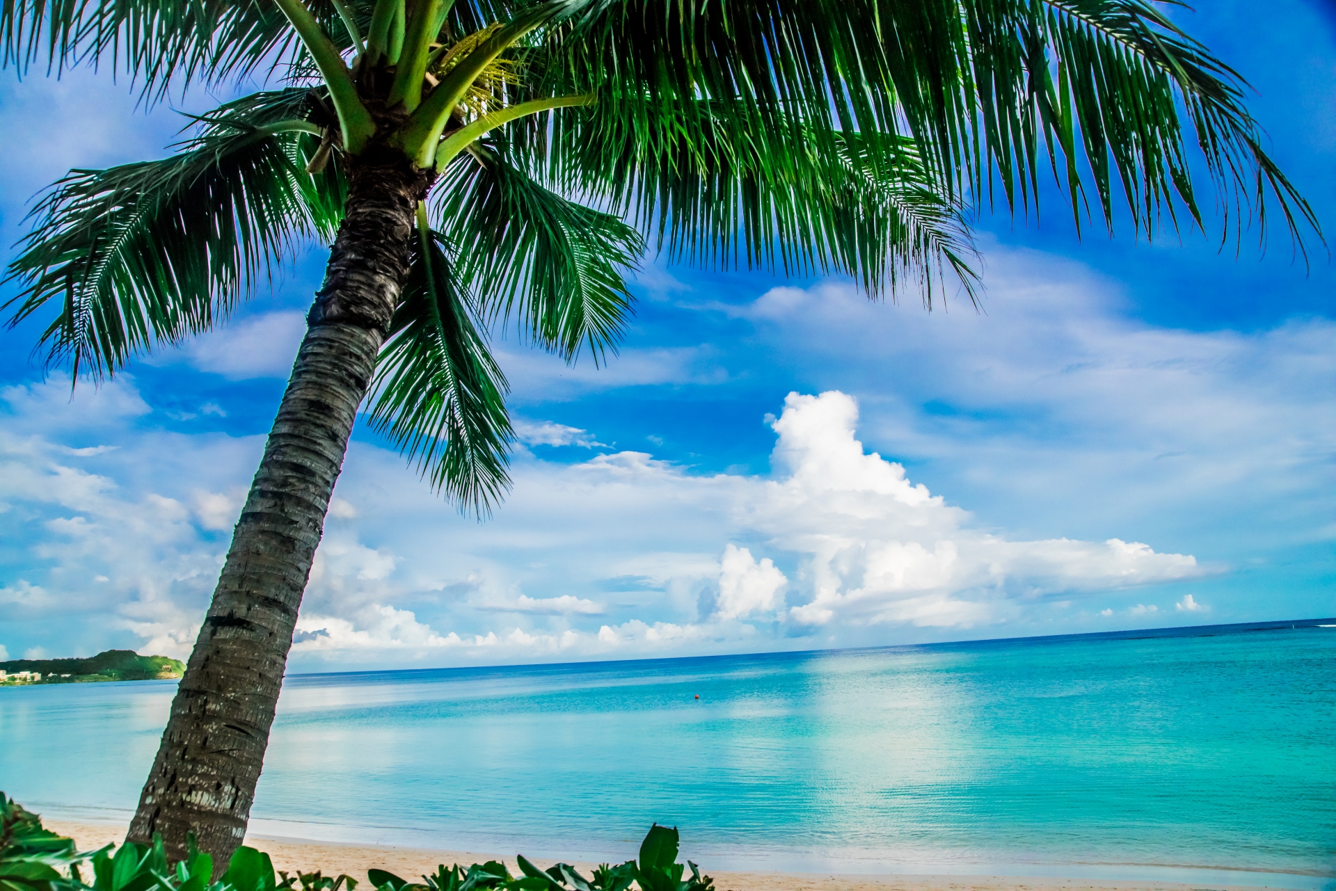 1727077_m | GLAM(グラム)|自分らしく生きる女性に、1日1GLAMを。 上質な時間をスマートに楽しむグアム