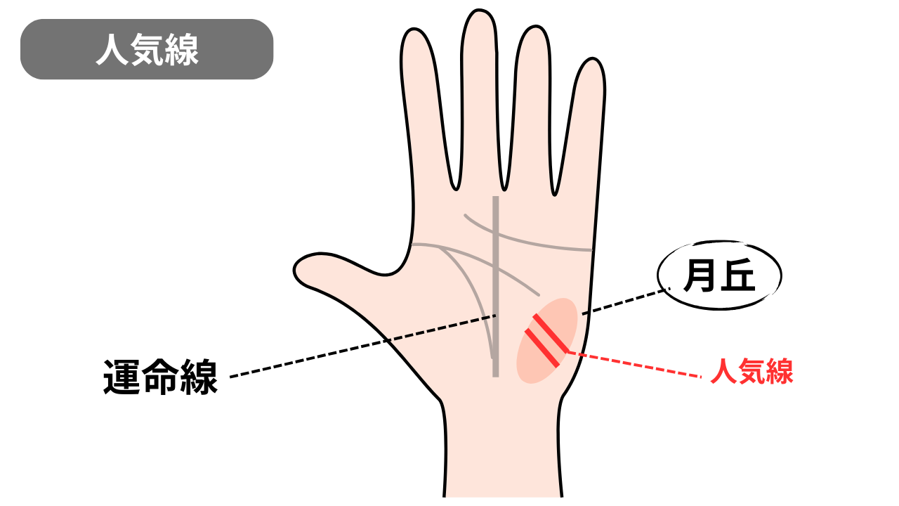 人気線 | GLAM(グラム)|自分らしく生きる女性に、1日1GLAMを。 カリスマ性を発揮する人気線