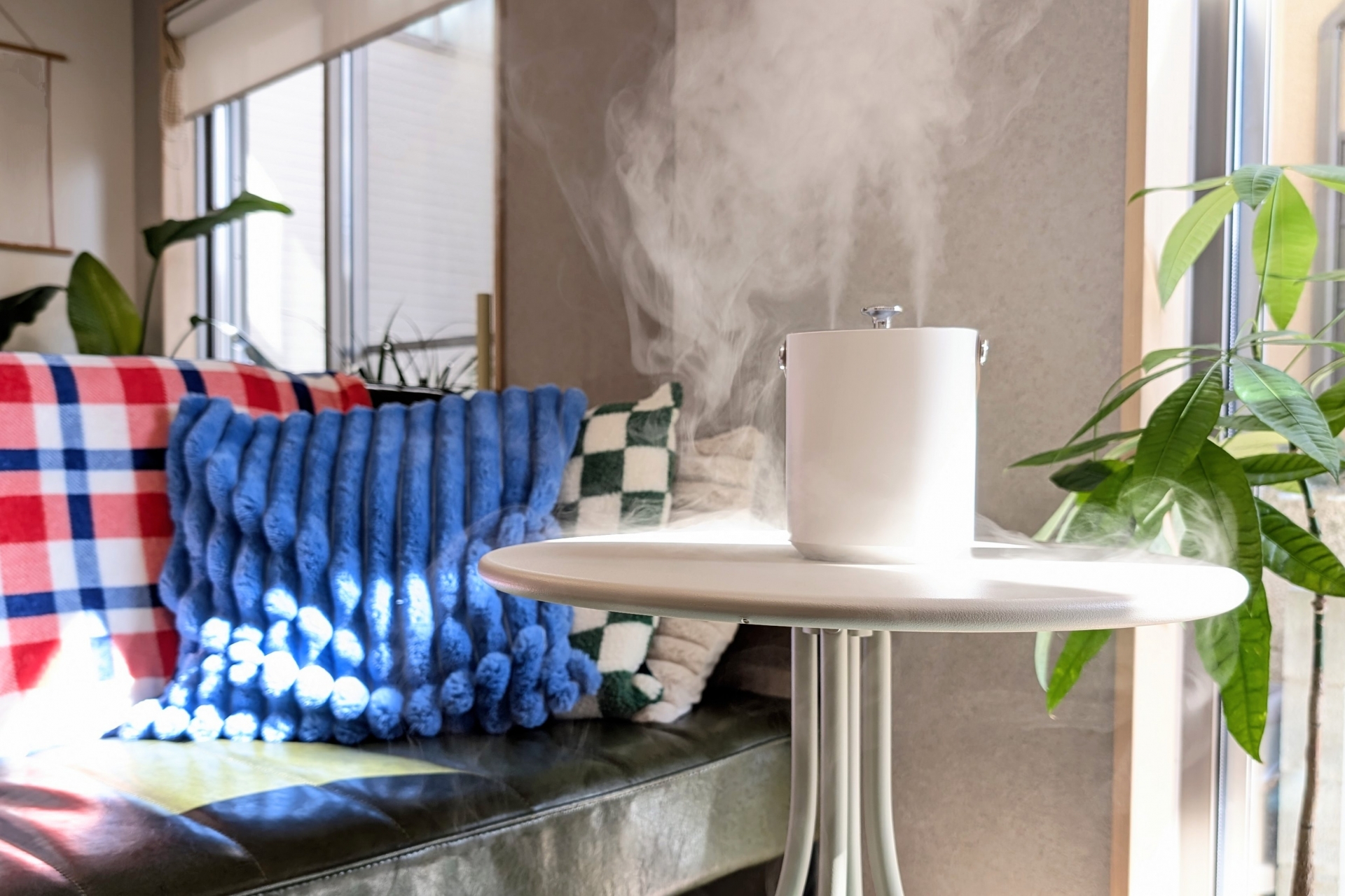 加湿器を効果的に使いこなす設置場所の正解