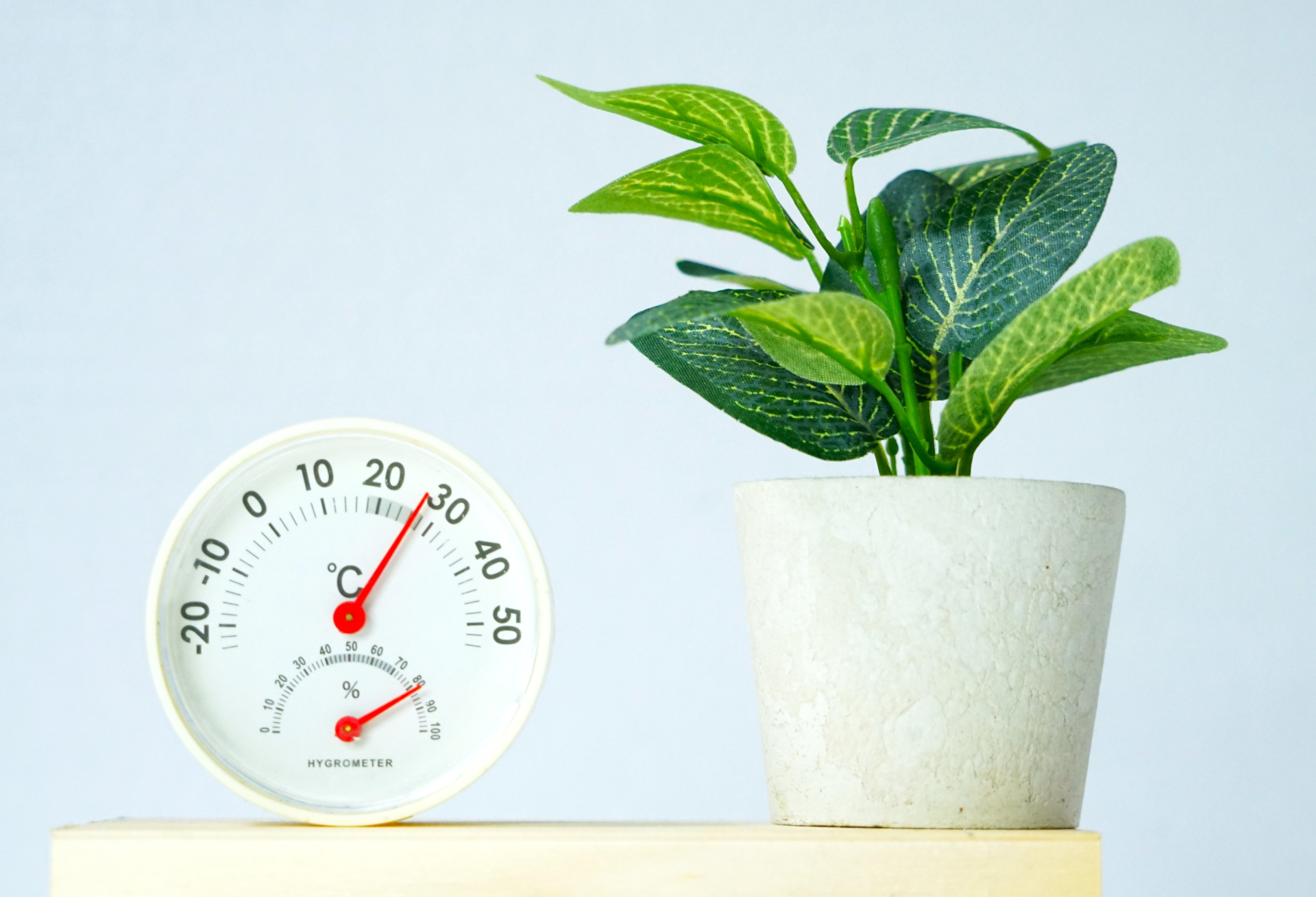 インテリアを格上げするナチュラルな加湿スタイル