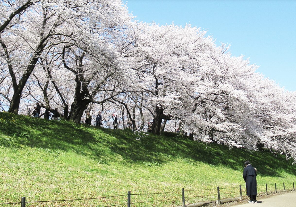 スクリーンショット 2026-02-25 170315 | GLAM(グラム)|自分らしく生きる女性に、1日1GLAMを。 県営権現堂公園の公式サイト