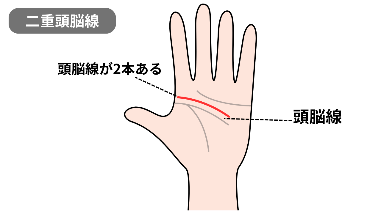 二重頭脳線 | GLAM(グラム)|自分らしく生きる女性に、1日1GLAMを。 クリエイティブな感性が爆発する二重頭脳線