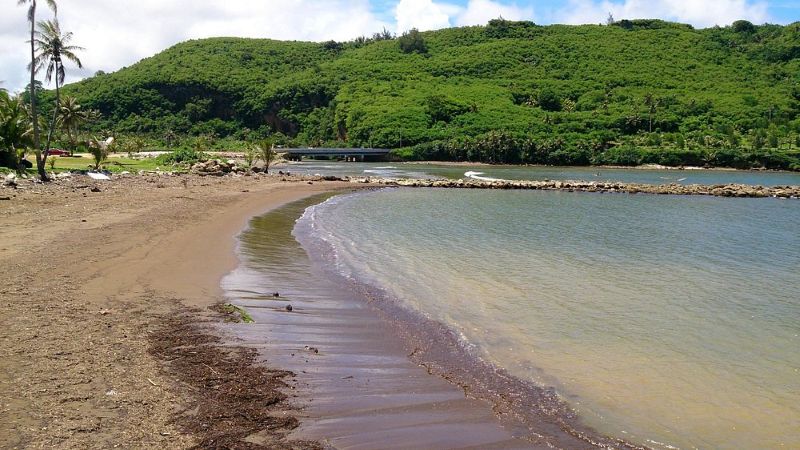 タロフォフォ湾 | GLAM(グラム)|自分らしく生きる女性に、1日1GLAMを。