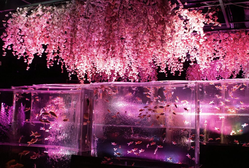 スクリーンショット 2026-02-26 220332 | GLAM(グラム)|自分らしく生きる女性に、1日1GLAMを。