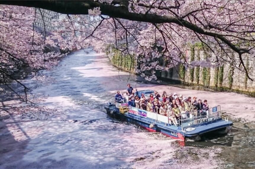 目黒川お花見クルーズ 公式サイトより引用