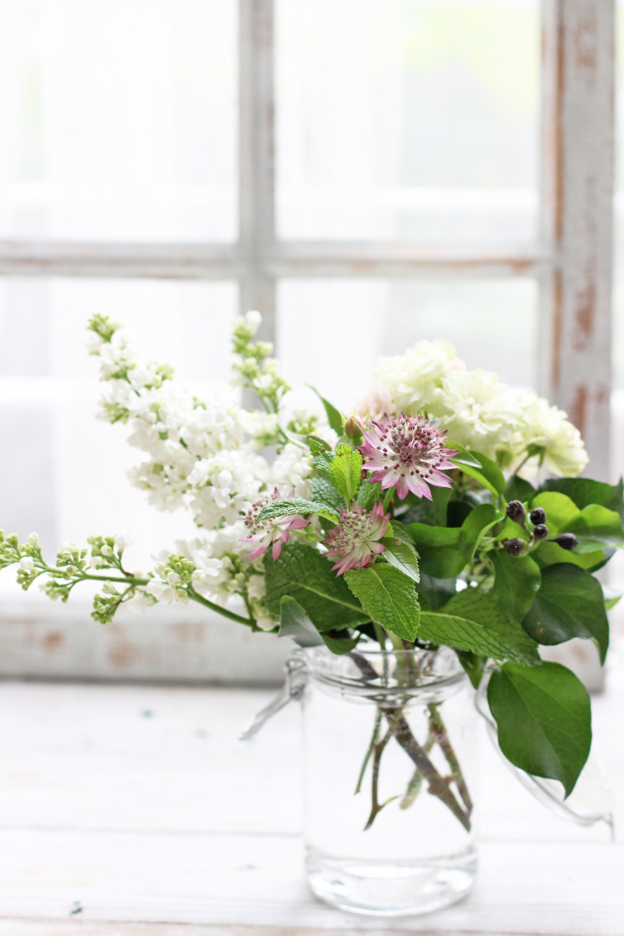 2145511_m | GLAM(グラム)|自分らしく生きる女性に、1日1GLAMを。 大切な人へライラックを贈るおすすめのシーン