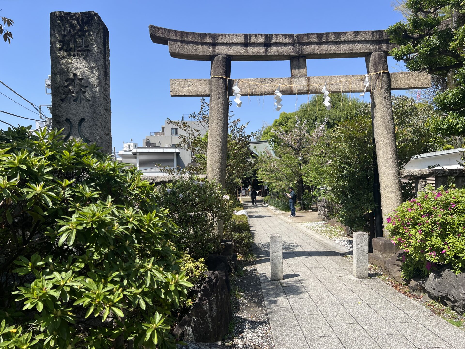 鳩森八幡神社の入口
