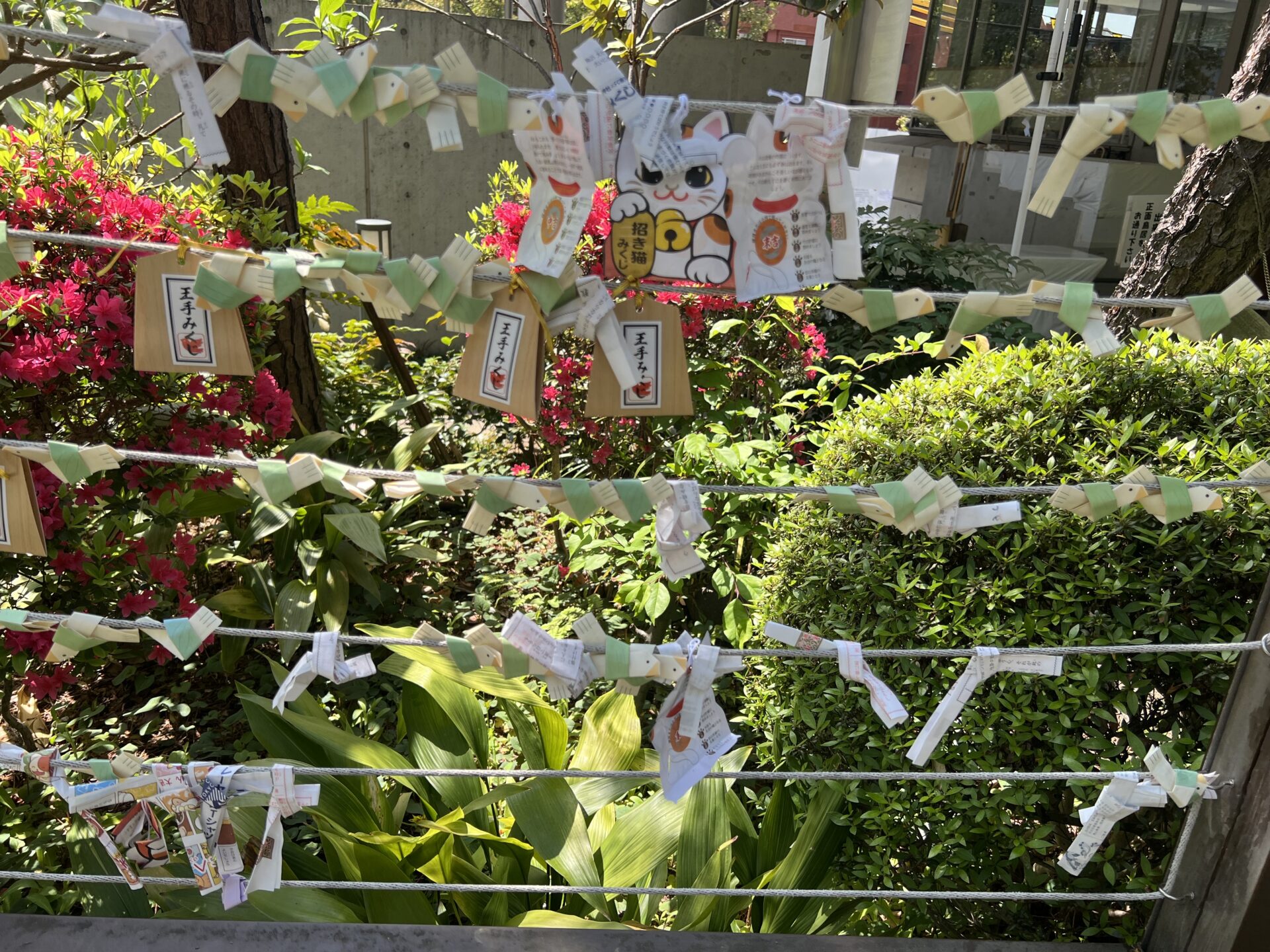 鳩森八幡神社のおみくじ結び所