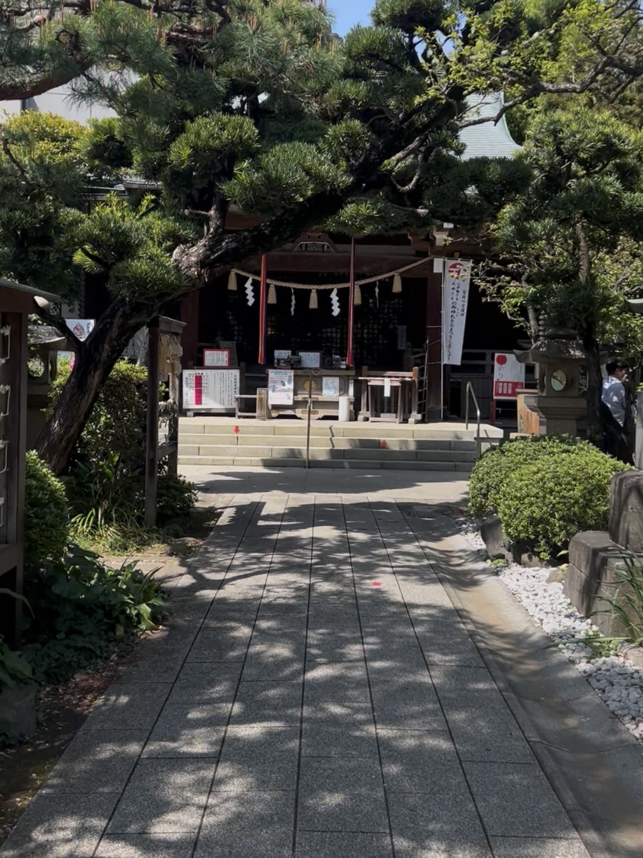 鳩森八幡神社の参道の奥にある御社殿の様子