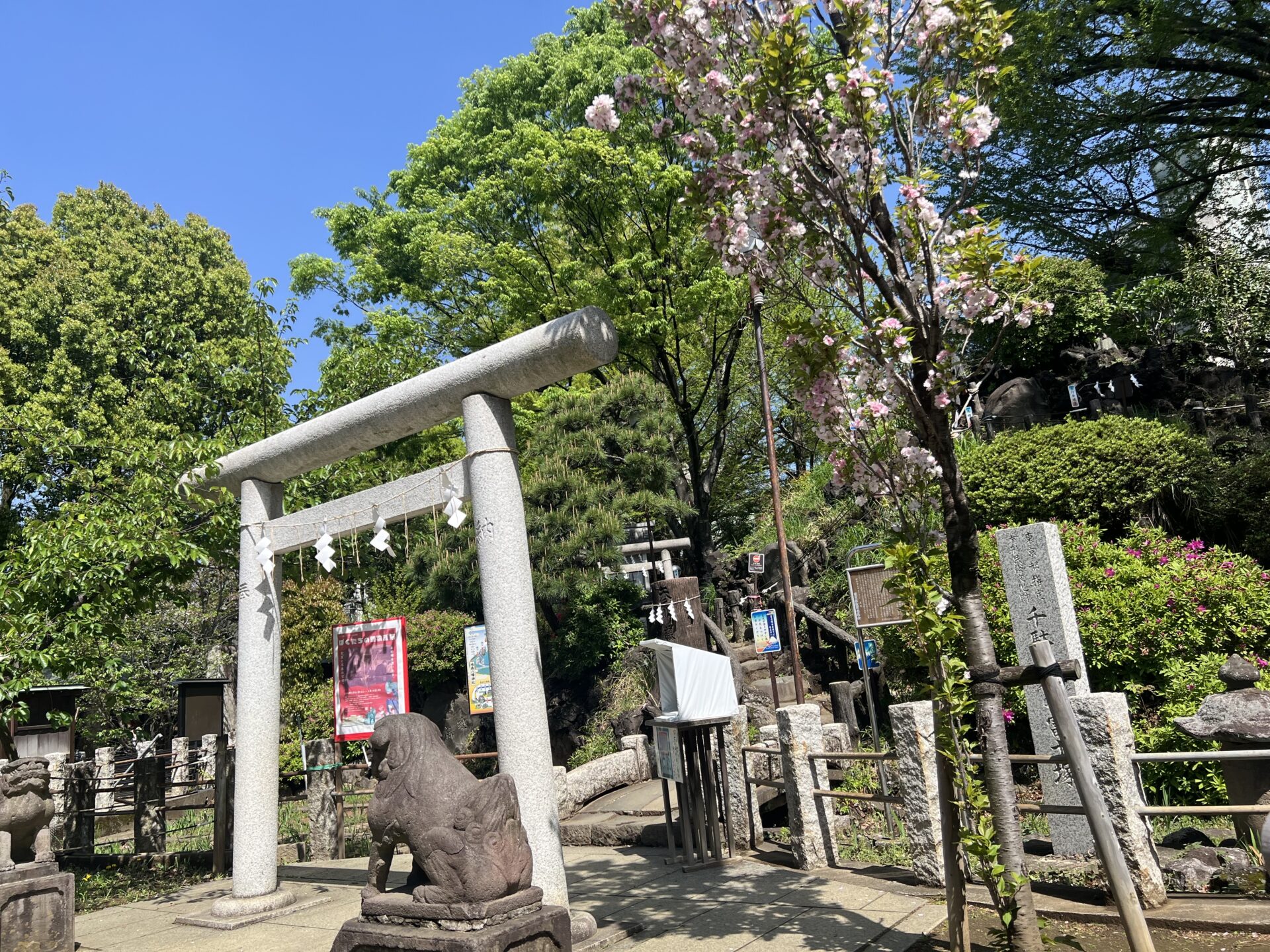 鳩森八幡神社の富士塚の入口