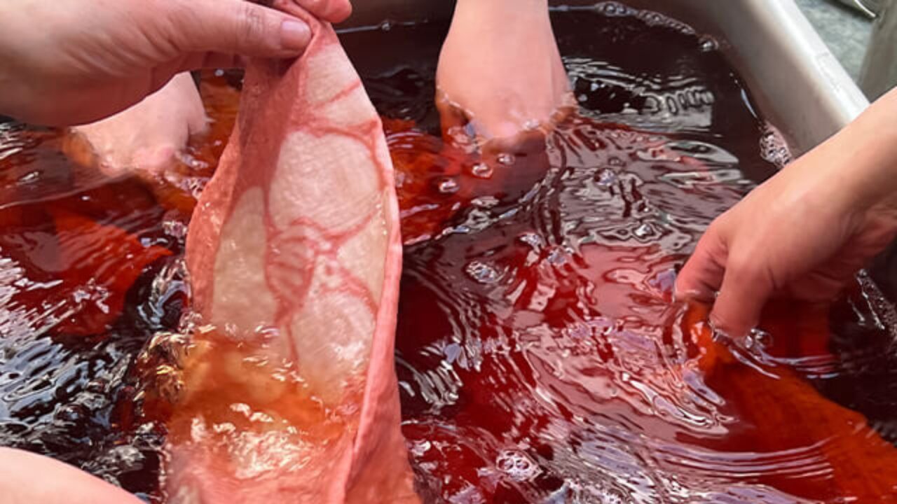 京藍染師 松﨑陸公式サイトより引用