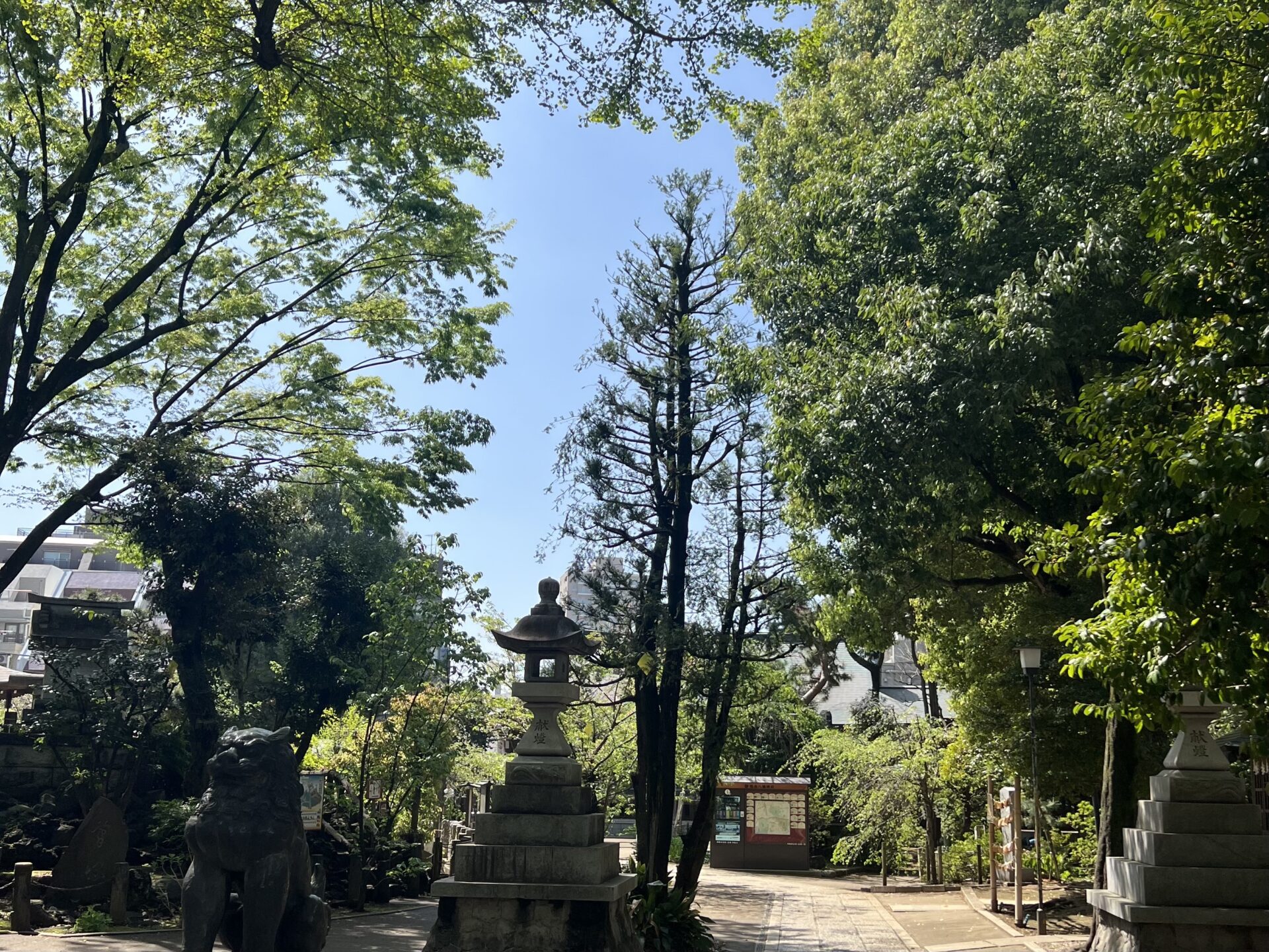 鳩森八幡神社の朝の境内