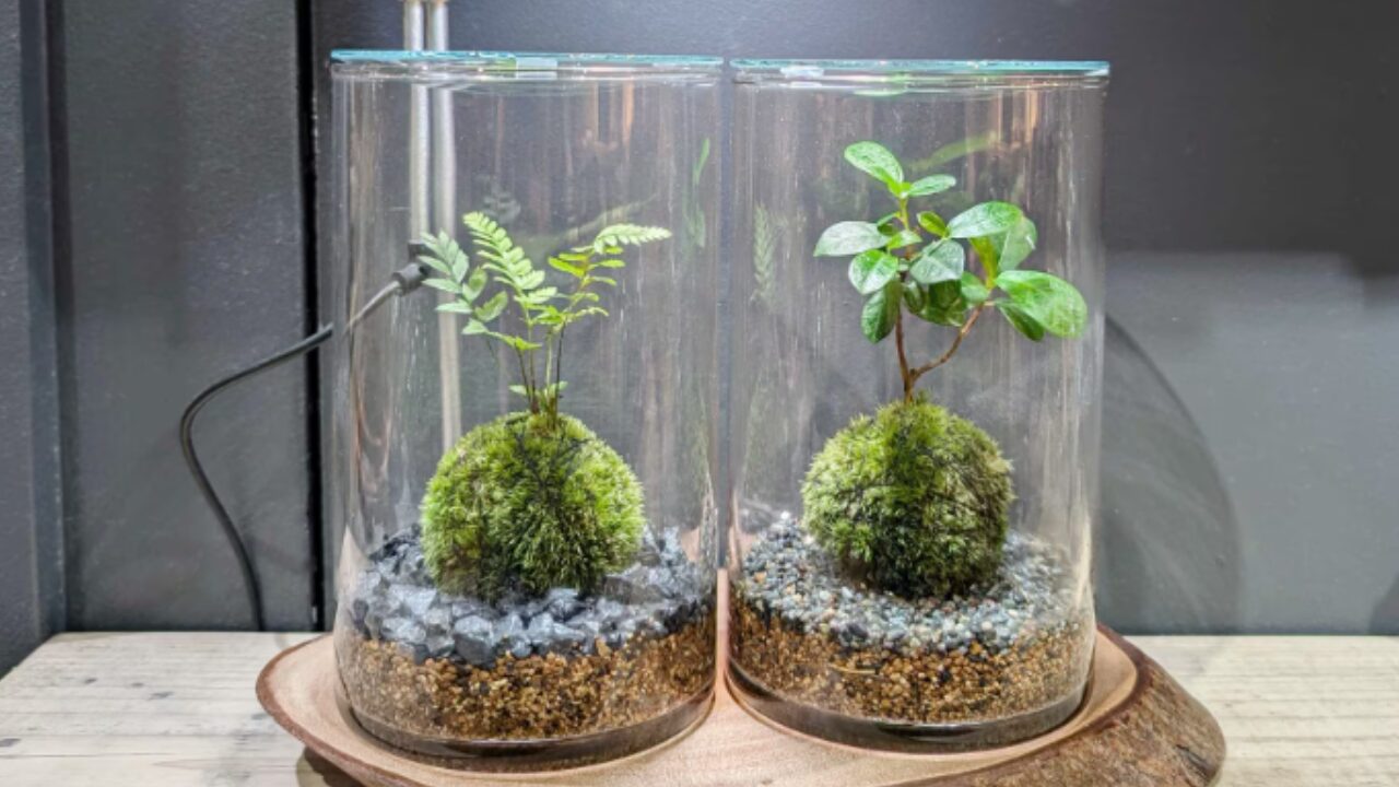 Feel The Garden公式サイトより引用