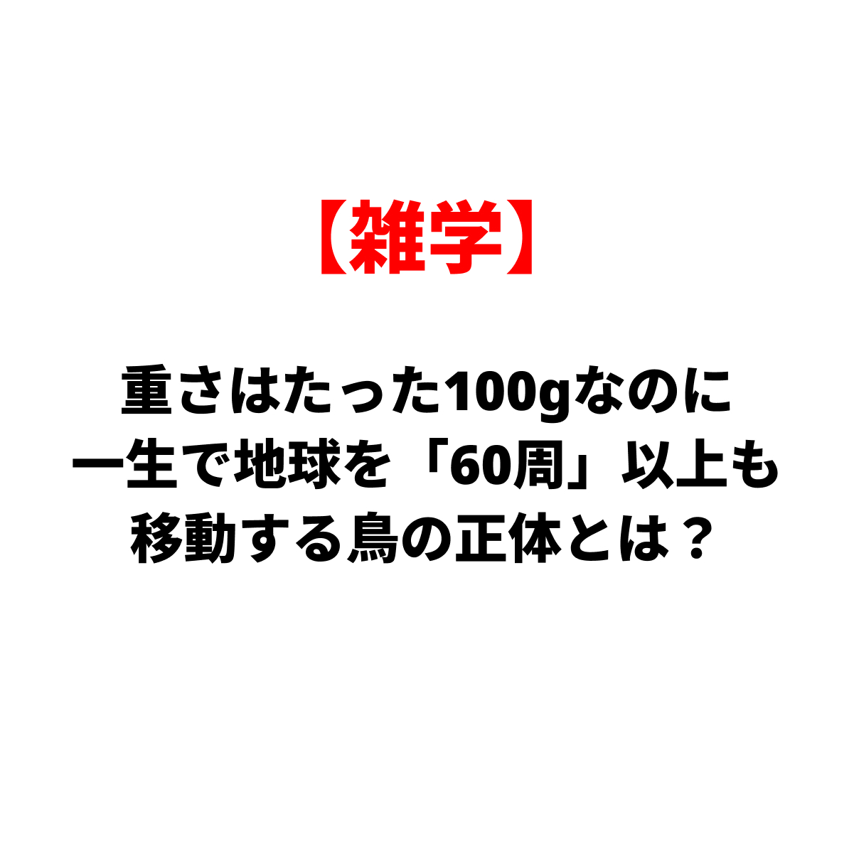 【雑学】体重はたった100gなのに、一生で地球を『60周』以上も移動する鳥の正体とは？