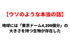 日本語のテキスト画像：赤い見出し『ウソのような本当の話』と黒い本文『地球には「東京ドーム4,200個分」の大きさを持つ生物が存在した』