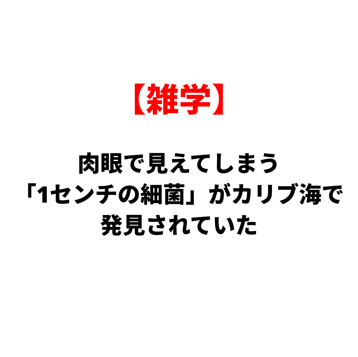 【雑学】肉眼で見えてしまう「1センチの細菌」がカリブ海で発見されていた