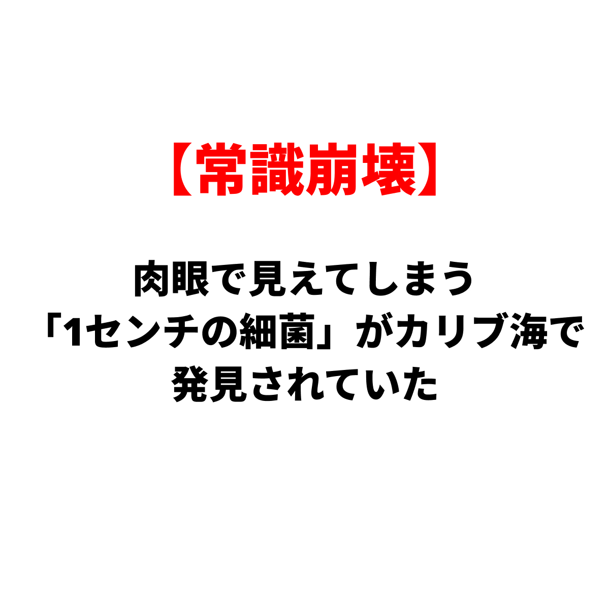Japanese headline: '常識崩壊' in red, followed by the subheadline '肉眼で見えてしまう「1センチの細菌」がカリブ海で発見されていた' in black, presented as a bold article banner.