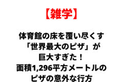 雑学の赤い見出し【雑学】と、大きな日本語の記事タイトル『体育館の床を覆い尽くす世界最大のピザが巨大すぎた！面積1,296平方メートルのピザの意外な行方』を伝えるカバー画像