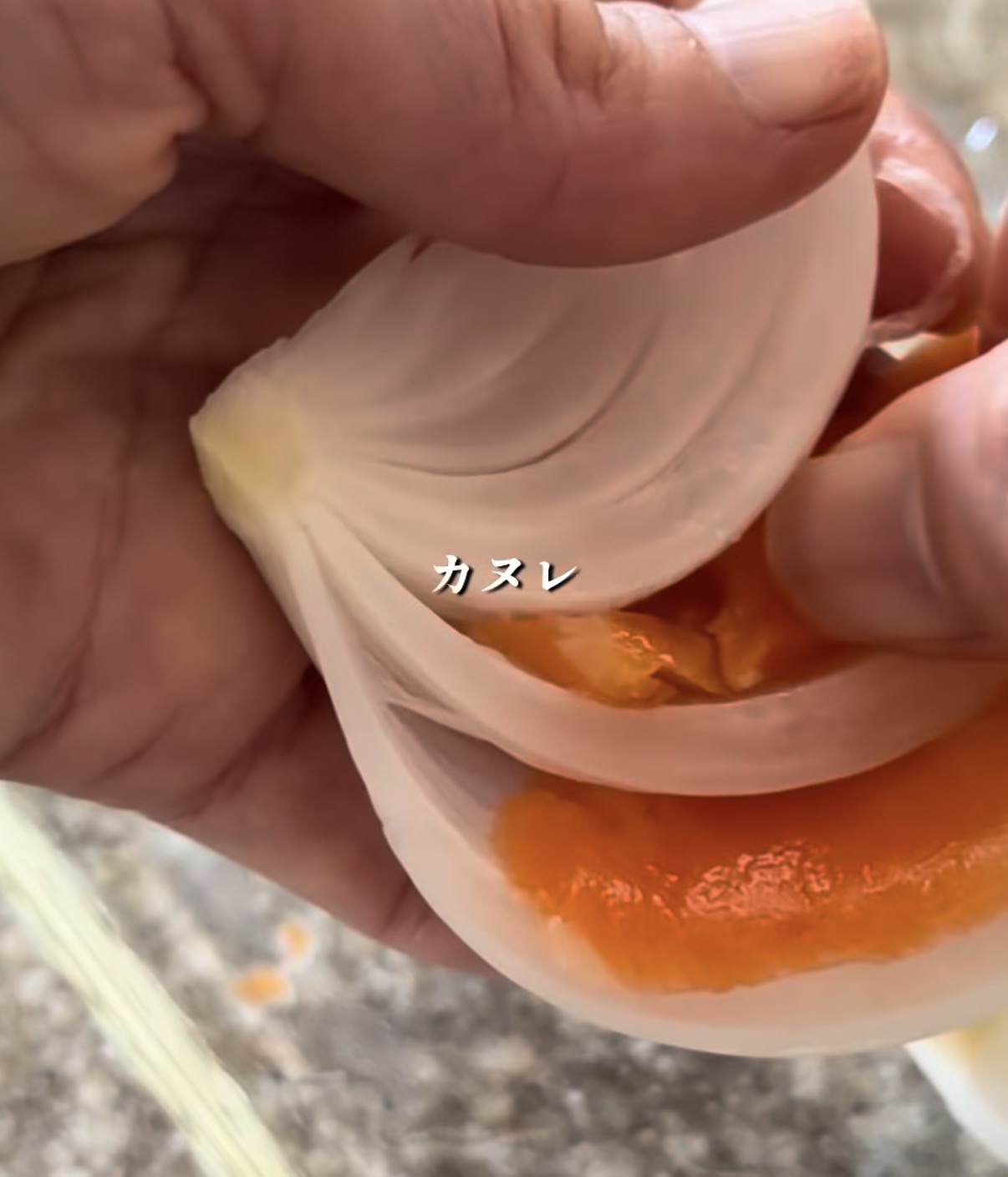 Close-up of a hand peeling a pale shell to reveal orange filling, with the Japanese word カヌレ over the image.
