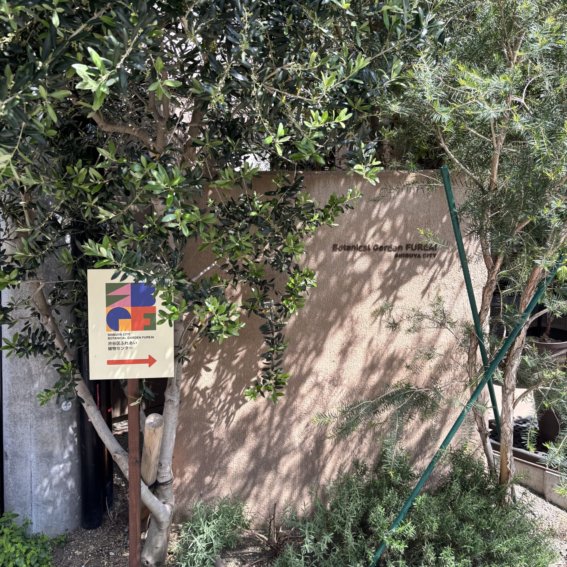 渋谷区ふれあい植物センターの入り口