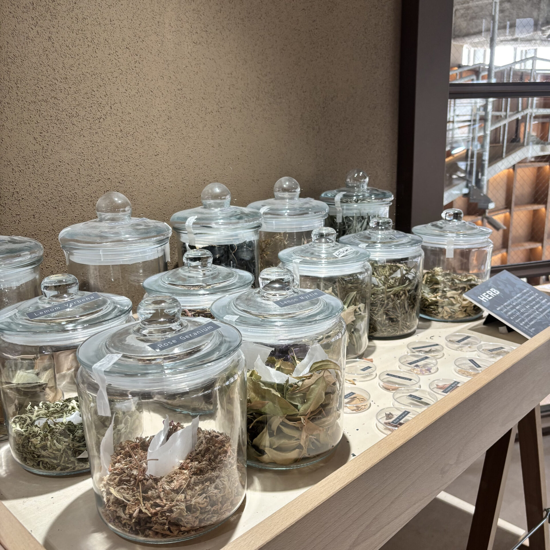 ハーブが入ったガラス瓶が並んでいます
