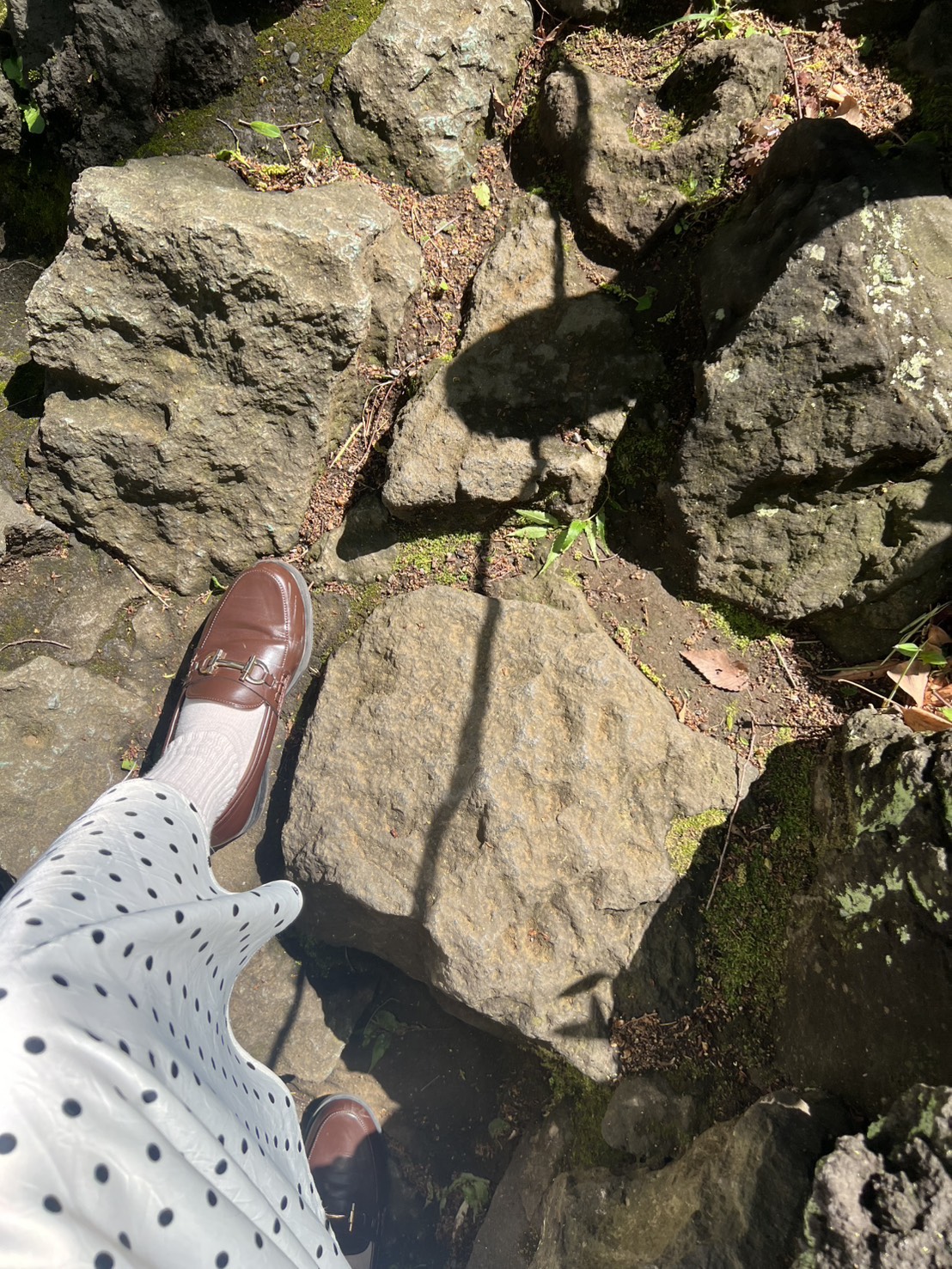 鳩森八幡神社の富士塚に登る様子