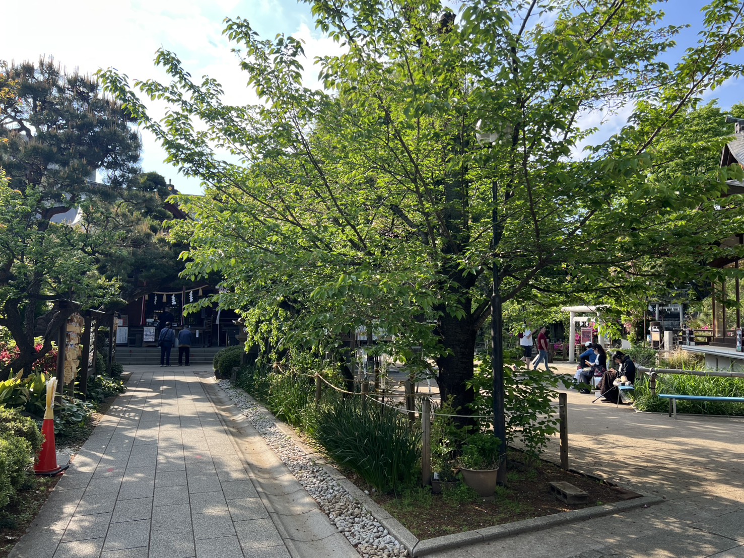 鳩森八幡神社の境内