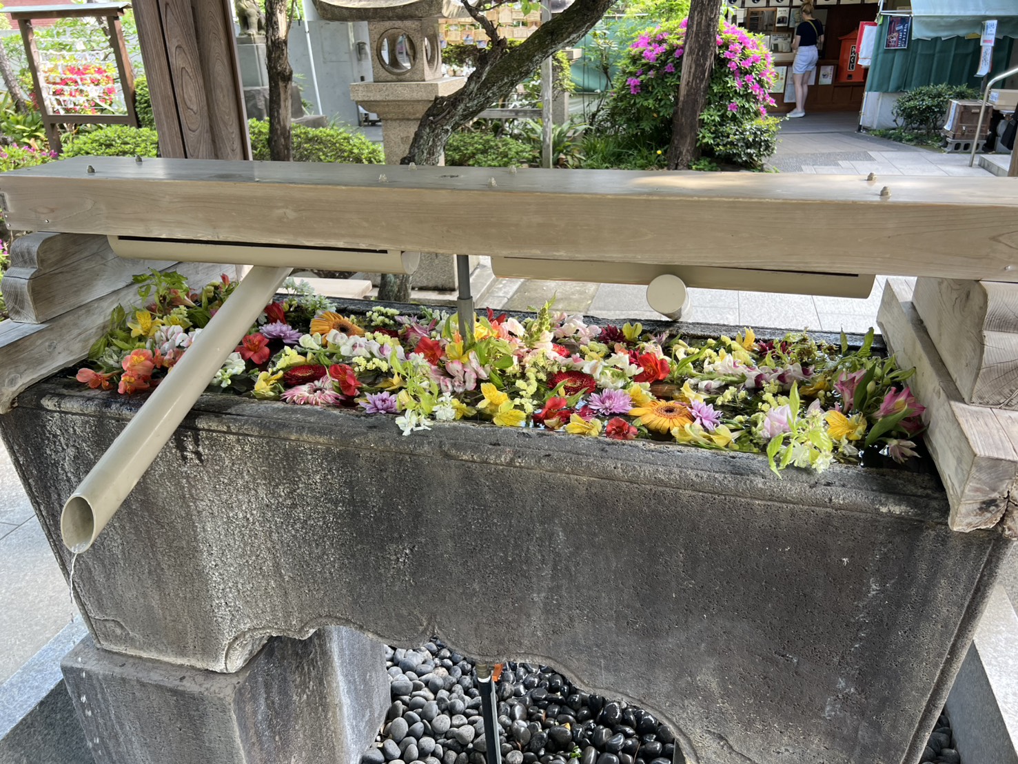 鳩森八幡神社の花手水