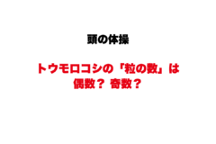 白背景に日本語の見出し2段。黒い文字で『頭の体操』、赤い太字で『トウモロコシの「粒の数」は偶数？奇数？』と続く。課題はトウモロコシの粒の数が偶数か奇数かを問うことを示す。