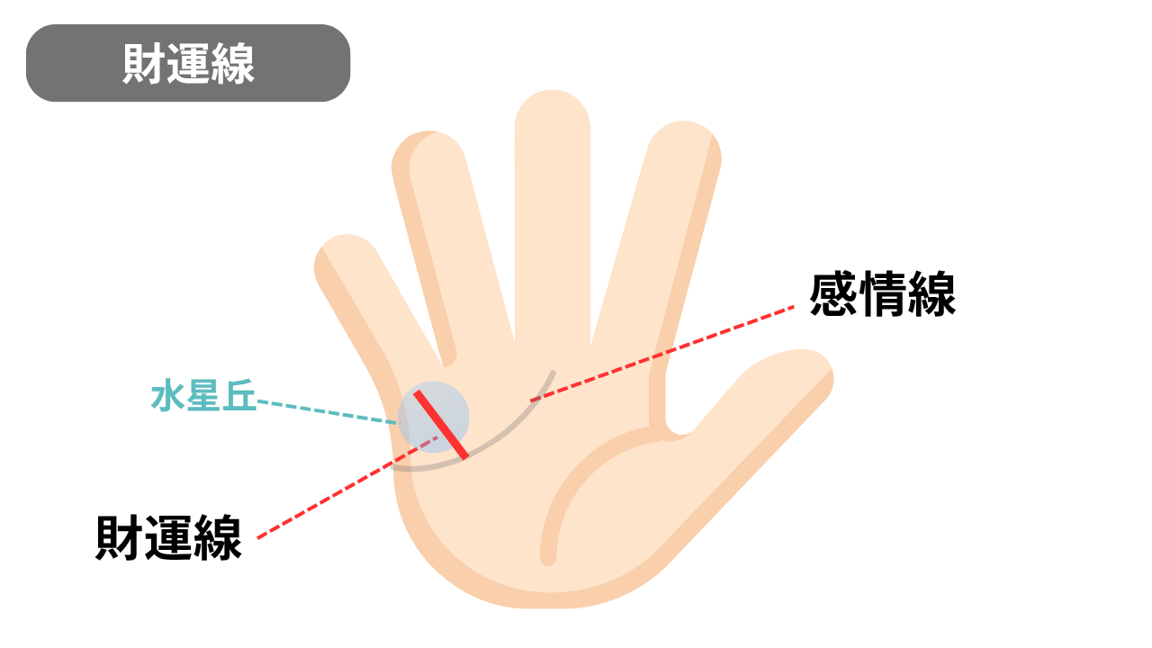 濃くはっきり刻まれた理想の財運線