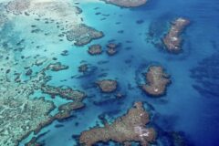 Aerial view of a coral reef system in turquoise shallow waters, with many brownish coral patches scattered across the sea bed.