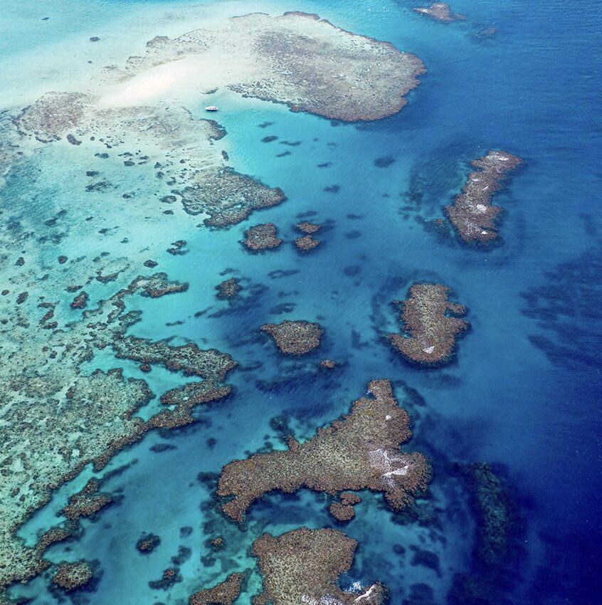 Aerial view of a coral reef system in turquoise shallow waters, with many brownish coral patches scattered across the sea bed.