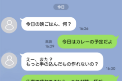 モバイルチャット画面。青い背景に左側に白い吹き出しの自分のメッセージ、右側に緑色の吹き出しの相手の返信が並ぶ。会話は日本語で『今日の晩ごはん、何？』『今日はカレーの予定だよ』『えー、また？もっと手の込んだもの作れないの？』『仕事で疲れてるから、これが精一杯だよ……』という内容。冒頭に戻る矢印や検索・メニューボタンのアイコン、上部に『今日』のラベルと円形のアバターが見える）