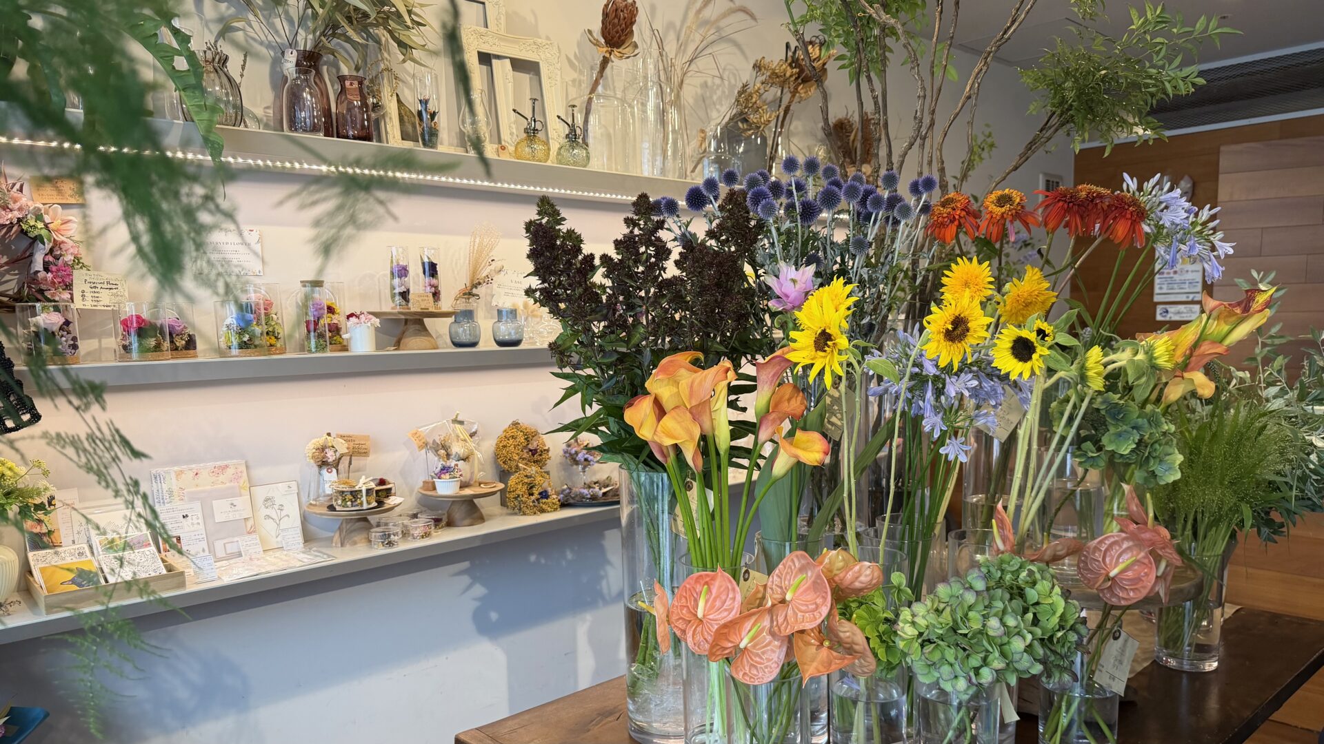 IMG_5456 | GLAM(グラム)|自分らしく生きる女性に、1日1GLAMを。 花Lab.Nocturne 横浜元町店の1階で販売される花